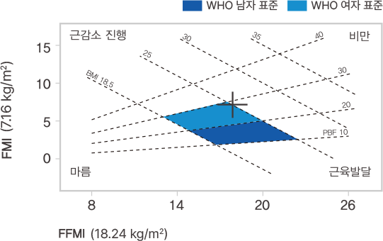 체성분 차트